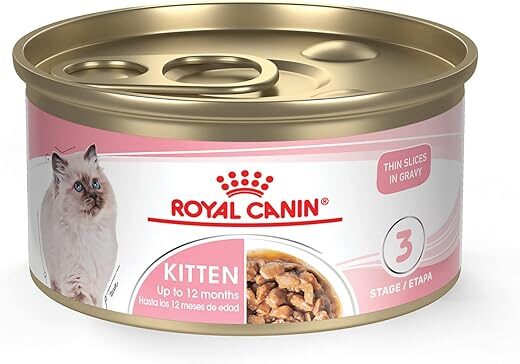 Royal Canin Kitten Thin Slices in Gravy, 3 oz (24-count)