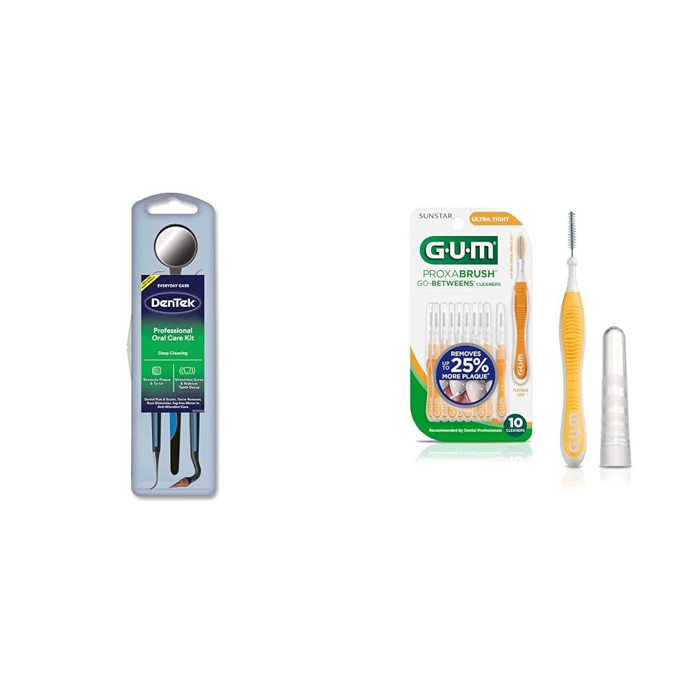 DenTek Oral Care Kit with GUM Interdental Brushes