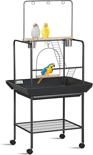 Polar Aurora Parrot Stand With Wheels and Swing