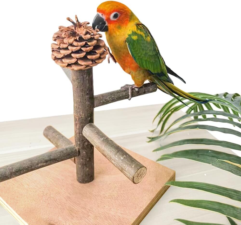 WQY GroceryShop Portable Tabletop Bird Play Stand BP123