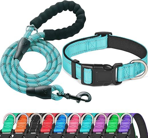 ladoogo Reflective Padded Dog Collar, Blue (Medium)