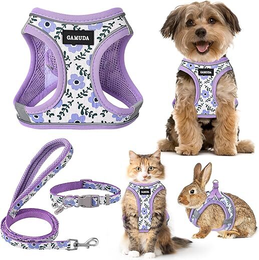 GAMUDA Small Dog Harness Collar Leash Set, Purple