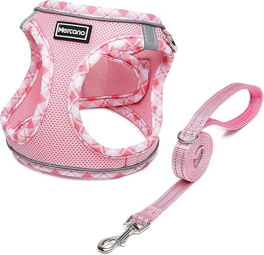 Mercano Soft Mesh Dog Harness and Leash Set