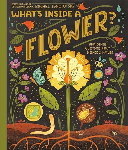 What’s Inside A Flower?: And Other Questions About Science & Nature By Rachel Ignotofsky