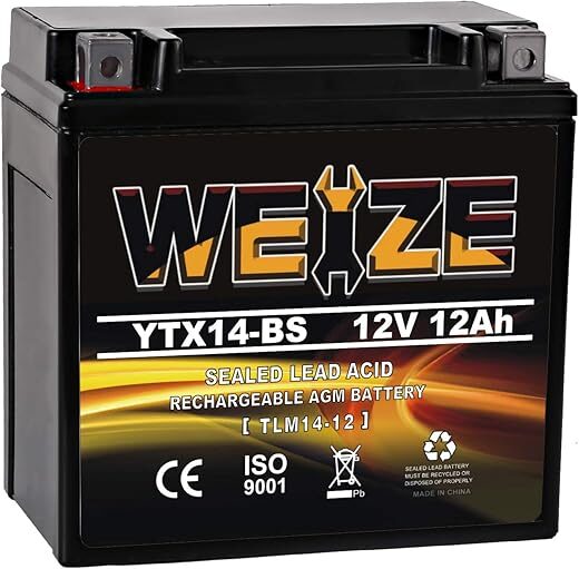 WEIZE YTX14-BS High Performance AGM Battery